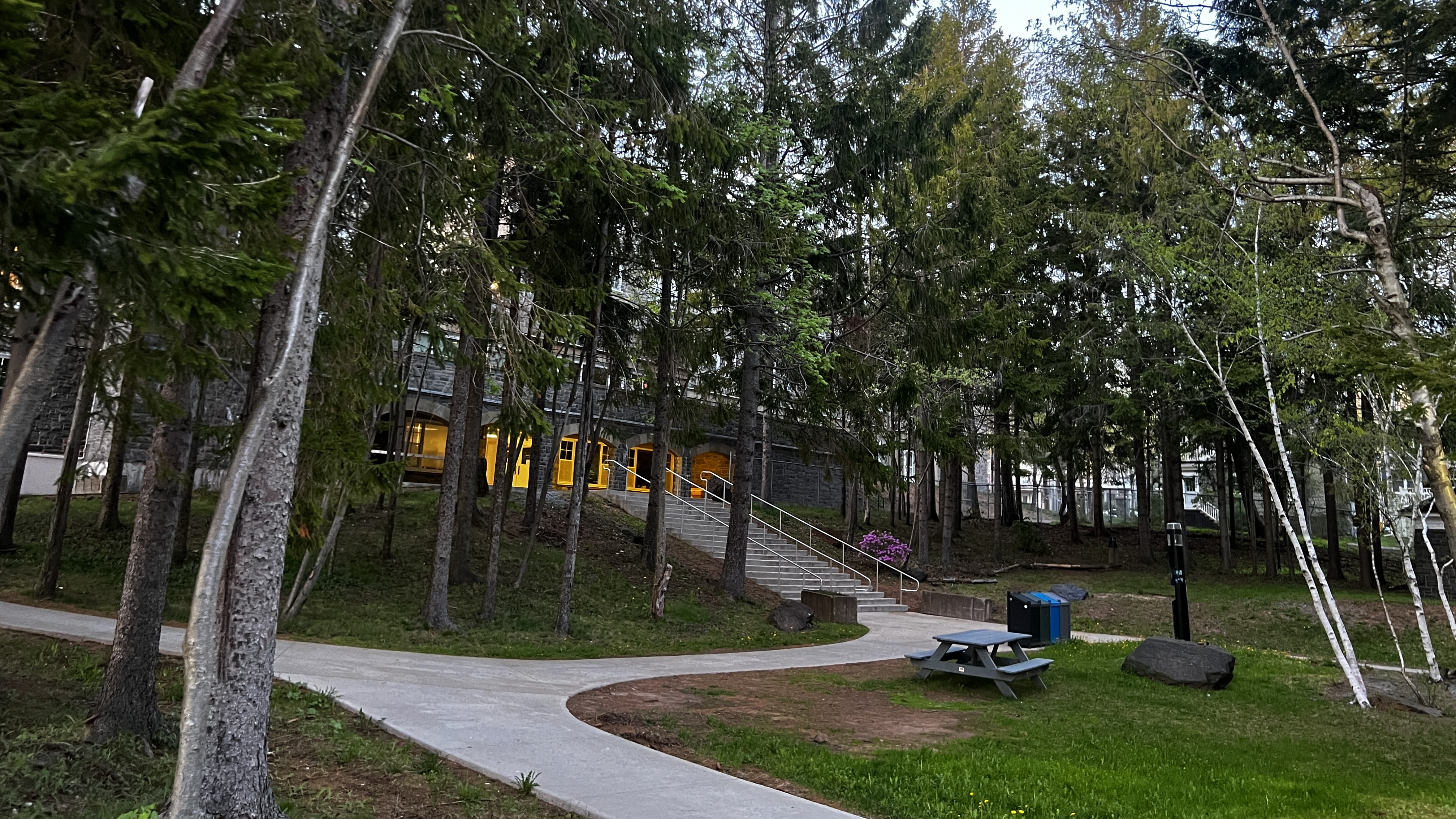 Trees and path